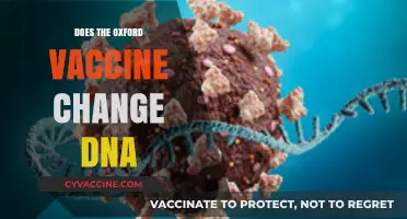 Oxford Vaccine and DNA: Separating Fact from Fiction