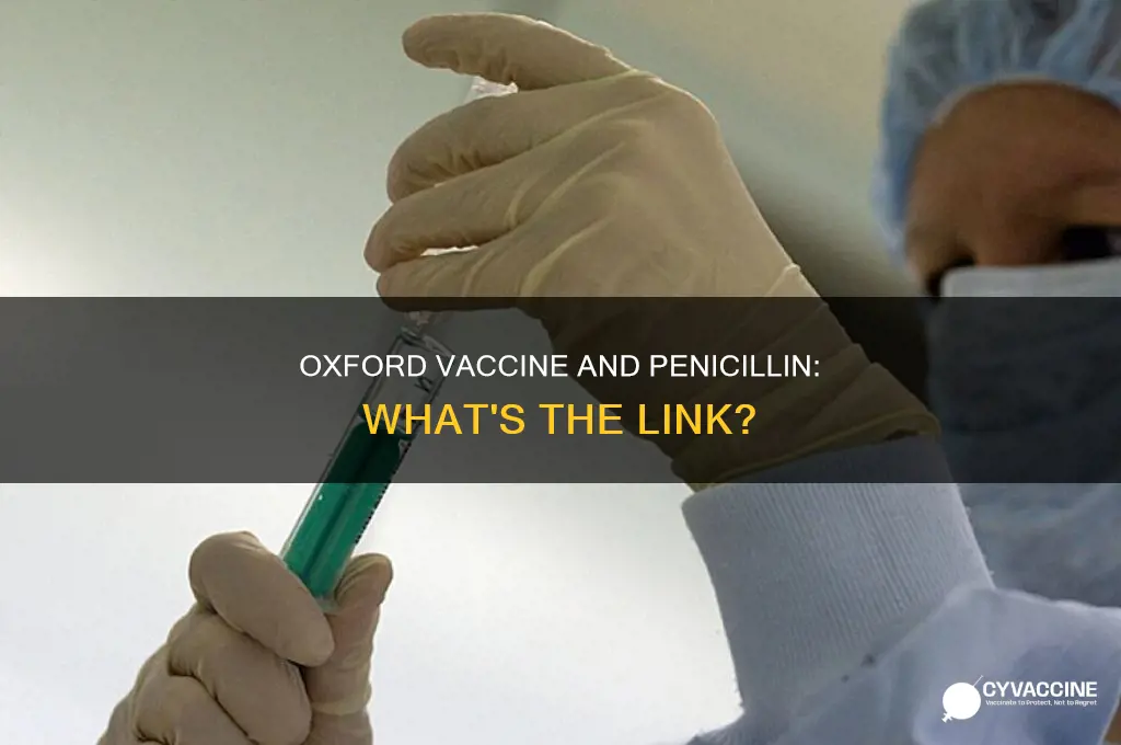 does the oxford vaccine have penicillin in it