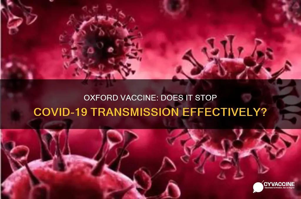 does the oxford vaccine prevent transmission