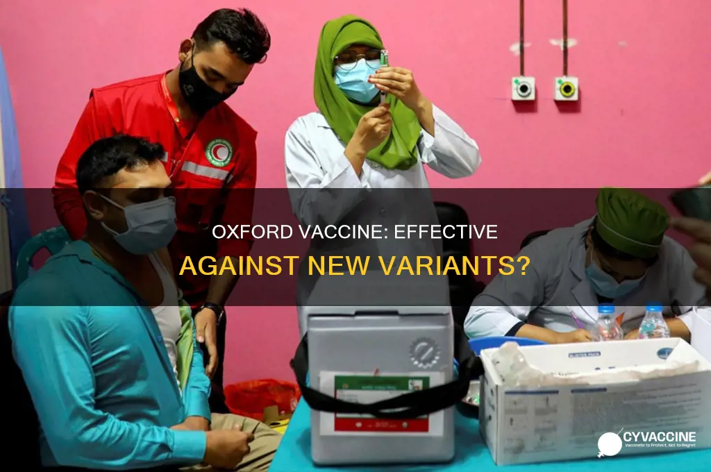 does the oxford vaccine protect against the new variant