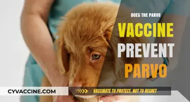Can the Parvo Vaccine Effectively Prevent Parvo in Dogs?