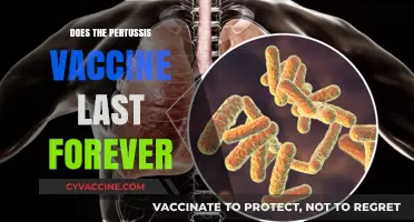 Does the Pertussis Vaccine Provide Lifelong Immunity? What You Need to Know