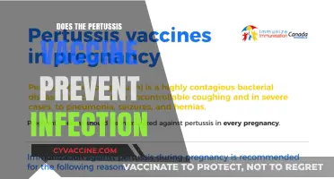 Does the Pertussis Vaccine Prevent Infection? Unraveling the Facts