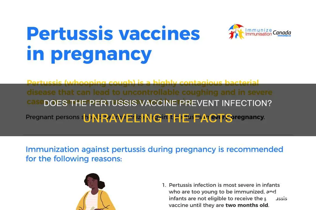 does the pertussis vaccine prevent infection