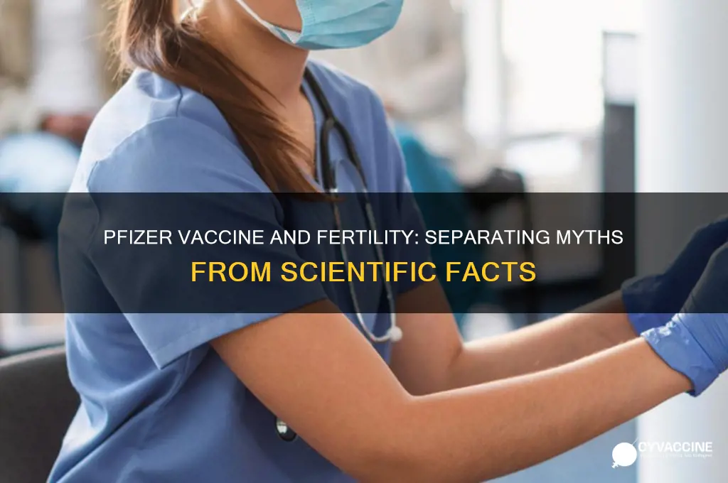 does the phizer vaccine affect fertility