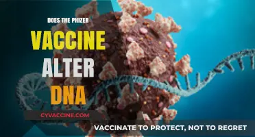 Pfizer Vaccine and DNA: Separating Fact from Fiction