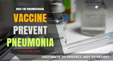 Can the Pneumococcal Vaccine Effectively Prevent Pneumonia? What You Need to Know