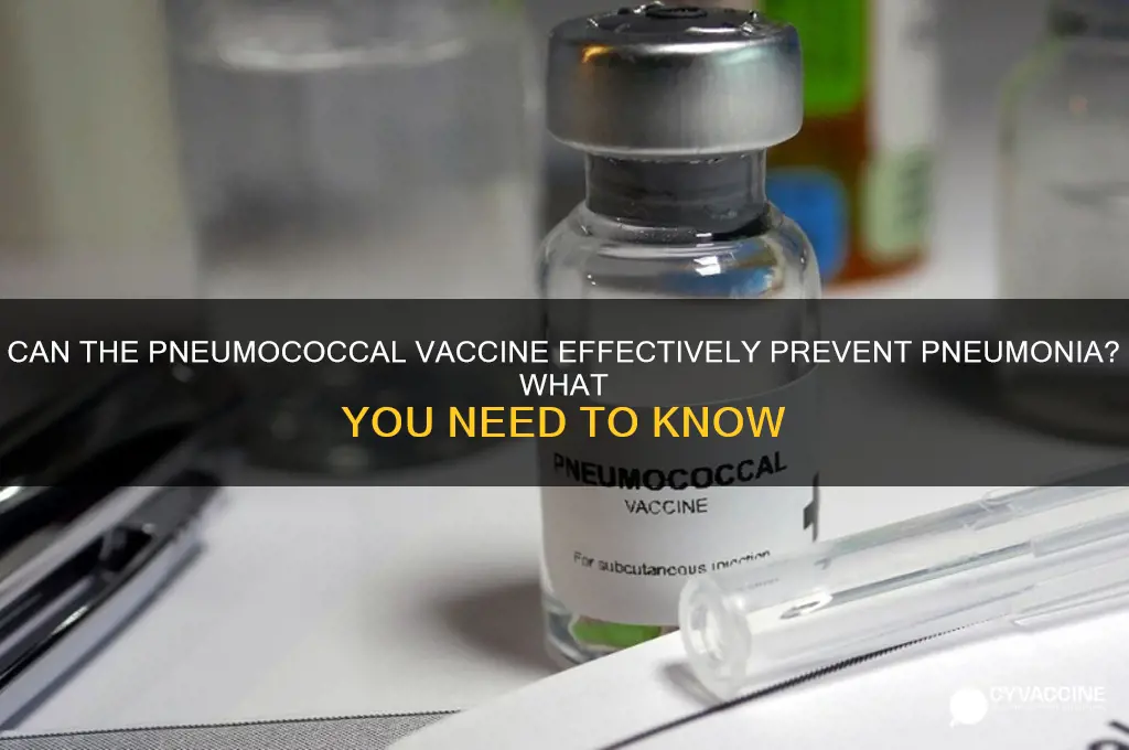 does the pneumococcal vaccine prevent pneumonia