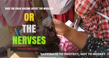 Polio Vaccine: Muscles, Nerves, and Side Effects