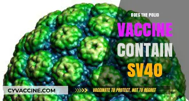 Polio Vaccine and SV40: Unraveling the Truth Behind the Myth
