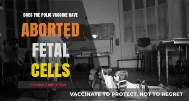 Polio Vaccine: Aborted Fetal Cells and Their Use