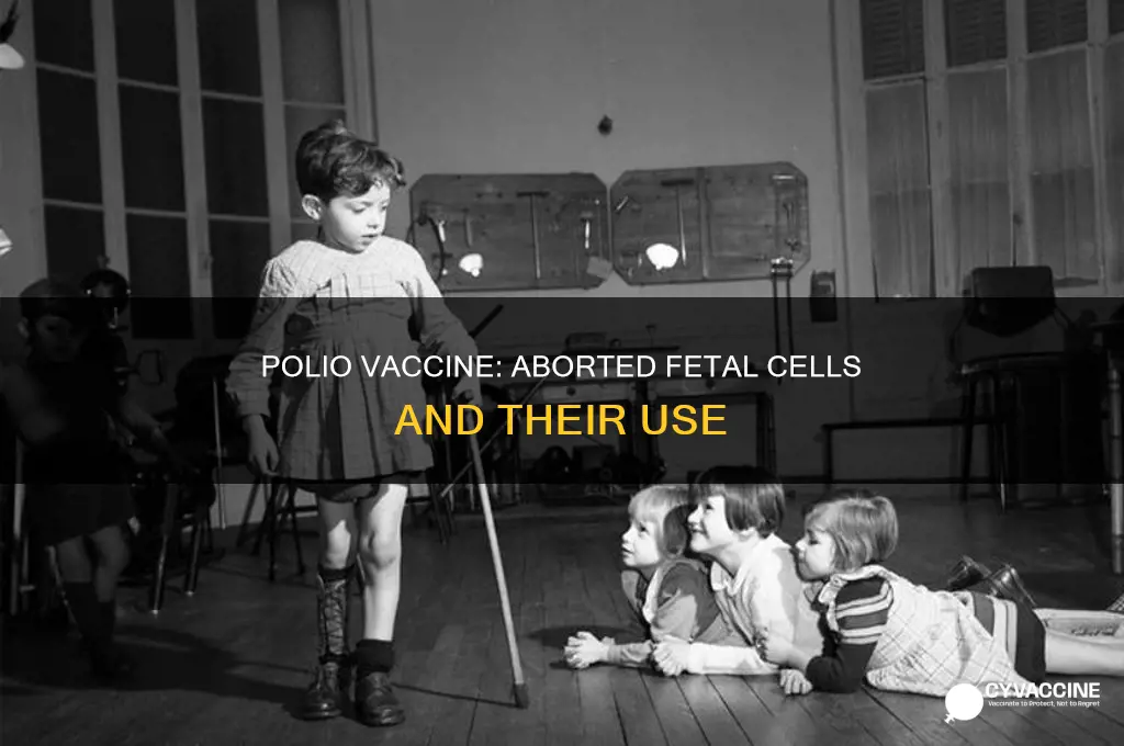 does the polio vaccine have aborted fetal cells