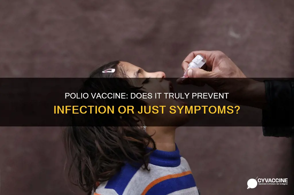does the polio vaccine prevent infection