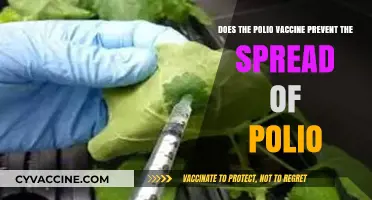 Polio Vaccine: Stopping Polio in Its Tracks?