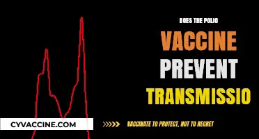 Polio Vaccine: Does It Stop Transmission or Just Prevent Illness?