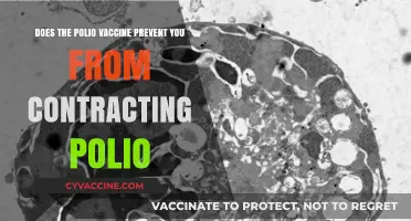 Polio Vaccine: Effective Protection Against Polio Infection