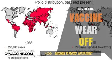 Does Polio Vaccine Protection Fade Over Time? What You Need to Know