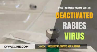 Rabies Vaccine: Deactivated Virus or Not?