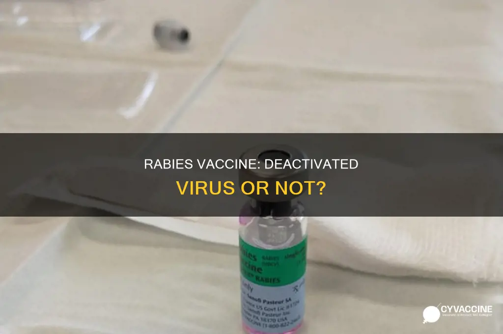 does the rabies vaccine contain deactivated rabies virus