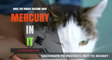 Rabies Vaccine Mercury Content: What You Need to Know