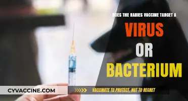 Rabies Vaccine: Targeting Virus or Bacteria?