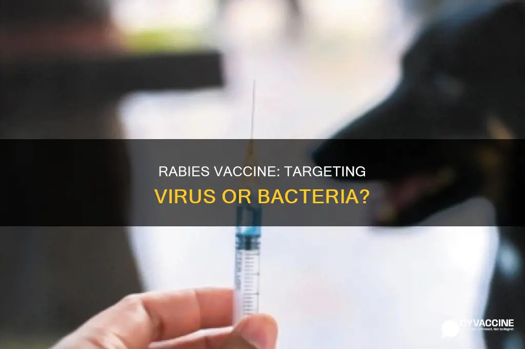 does the rabies vaccine target a virus or bacterium