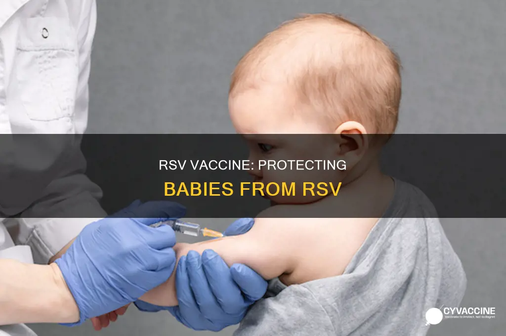 does the rsv vaccine prevent rsv in babies