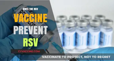 RSV Vaccine: Does It Effectively Prevent RSV Infections?