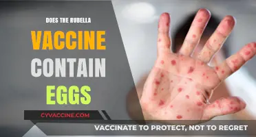 Rubella Vaccine and Egg Allergies: What You Need to Know