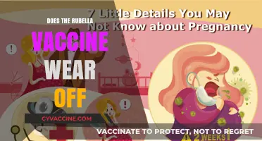 Does Rubella Immunity Fade? Vaccine Longevity and Booster Needs Explained