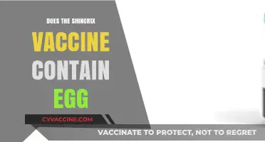 Shingrix Vaccine and Egg Allergies: What You Need to Know