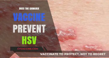 Shingrix Vaccine and HSV: Understanding Its Role in Prevention