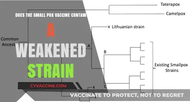 Smallpox Vaccine: Weakened Strain?