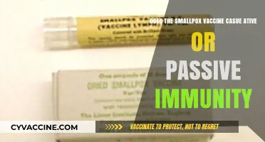 Smallpox Vaccine: Active or Passive Immunity?