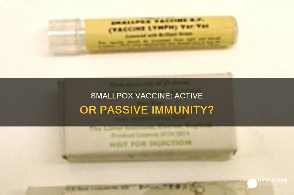 does the smallpox vaccine casue ative or passive immunity