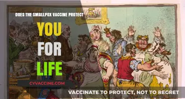 Smallpox Vaccine: Lifetime Protection or Not?