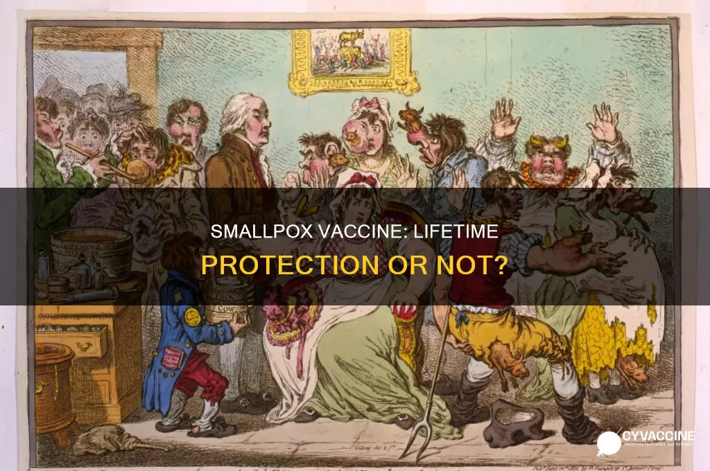 does the smallpox vaccine protect you for life