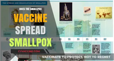 Smallpox Vaccine: Does It Spread the Disease or Prevent It?