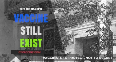 Does the Smallpox Vaccine Still Exist? Uncovering Its Current Status