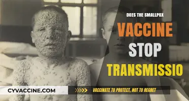 Does the Smallpox Vaccine Halt Transmission? Unraveling the Science