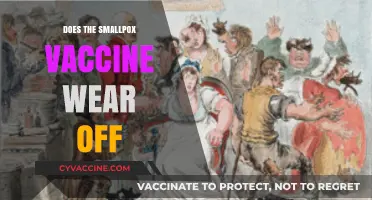 Does Smallpox Vaccine Immunity Fade Over Time? What You Need to Know