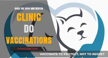 Spay and Neuter Clinics: What Vaccinations Do They Offer?
