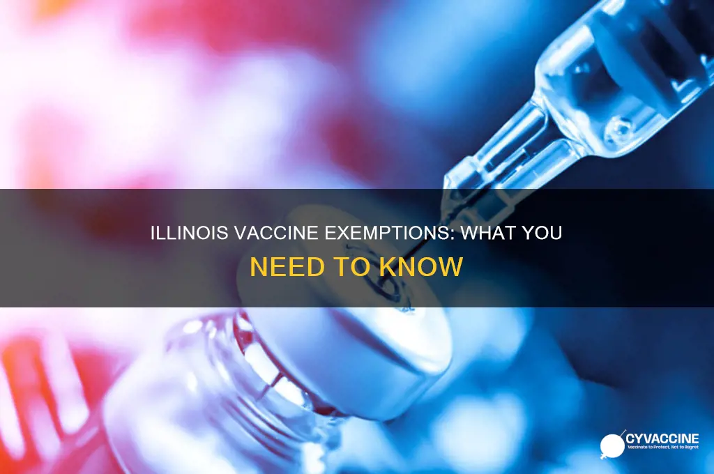 does the state of illinois allow vaccine exemptions