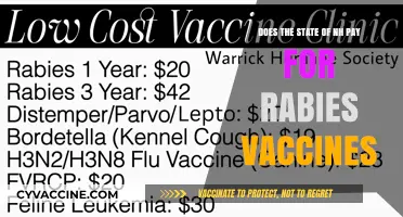 Rabies Vaccines in NH: Who Pays?