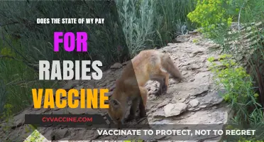 Wyoming's Rabies Vaccine: Who Pays?