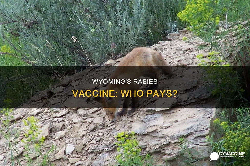 does the state of wy pay for rabies vaccine