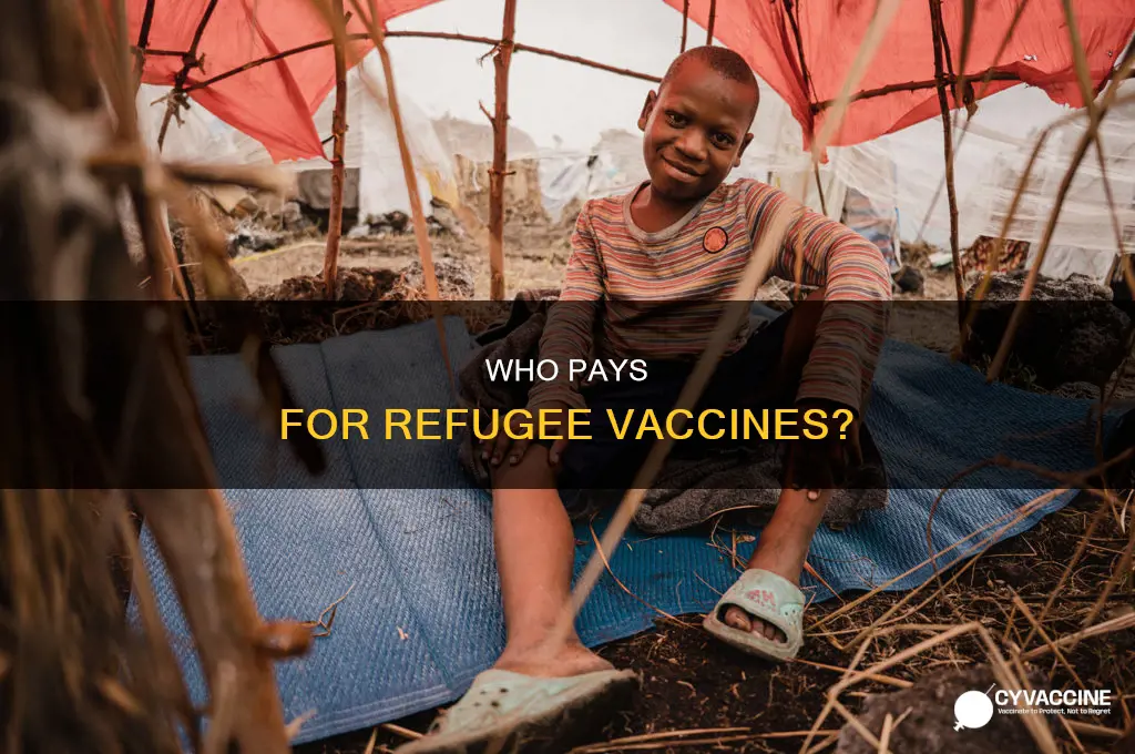 does the state or federal government fund vaccines for refugees