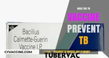 Can the TB Vaccine Effectively Prevent Tuberculosis? Unraveling the Facts