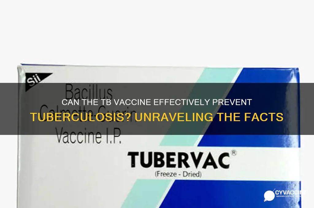 does the tb vaccine prevent tb