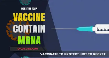 Does the Tdap Vaccine Contain mRNA? Unraveling the Facts